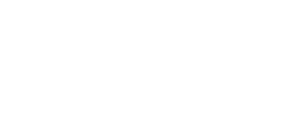 vf logotype white